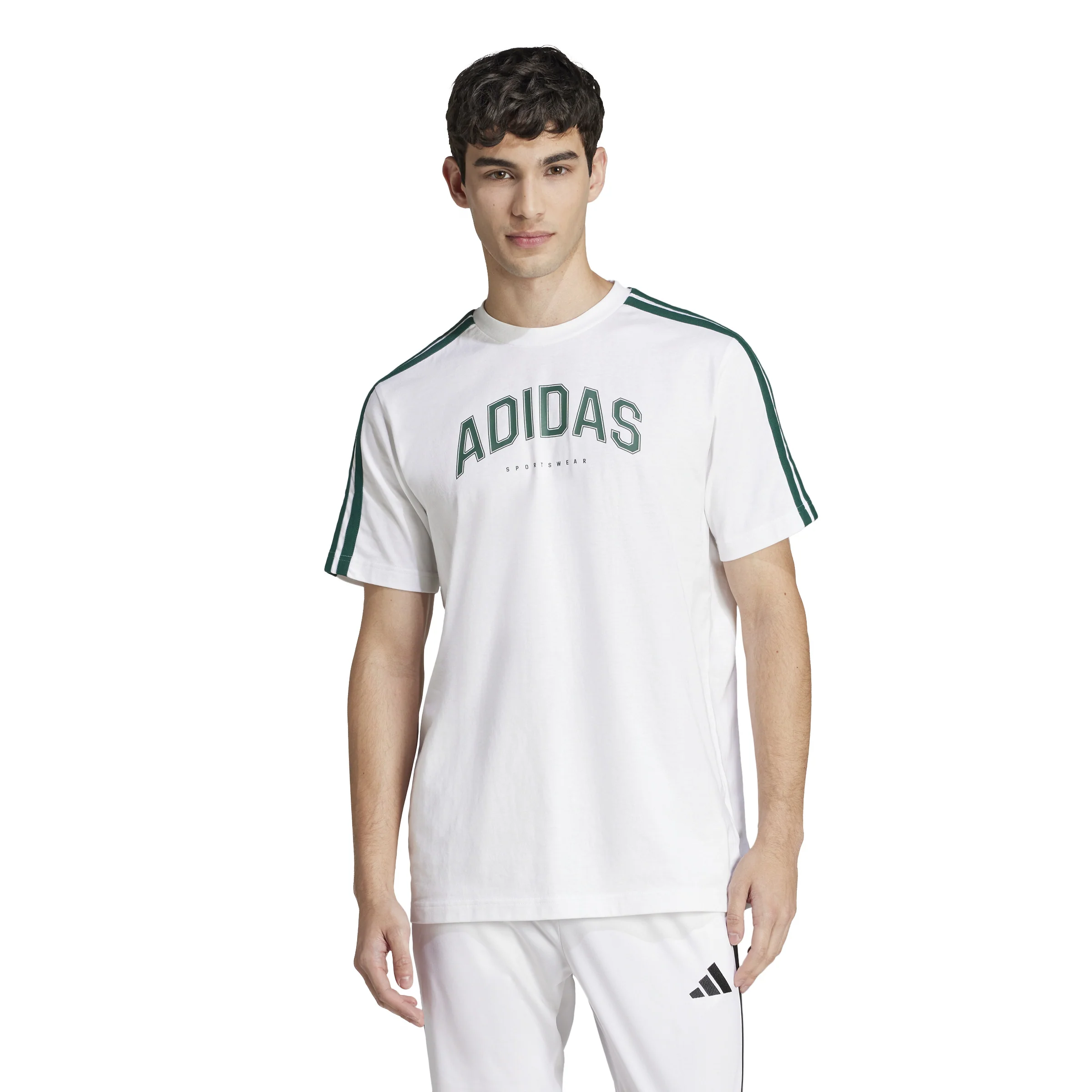 T-shirts de Algodão Homem Adidas Colleg - Image 3